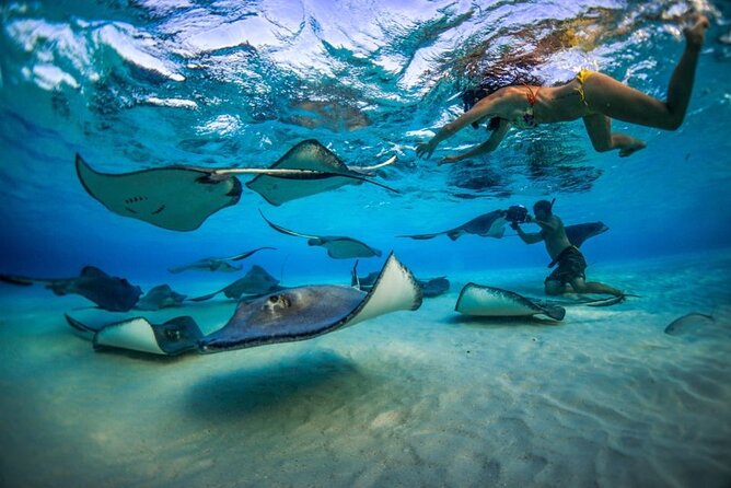 2-Stop Adventure: Stingray City and Snorkeling at Cayman Reefs - Key Points