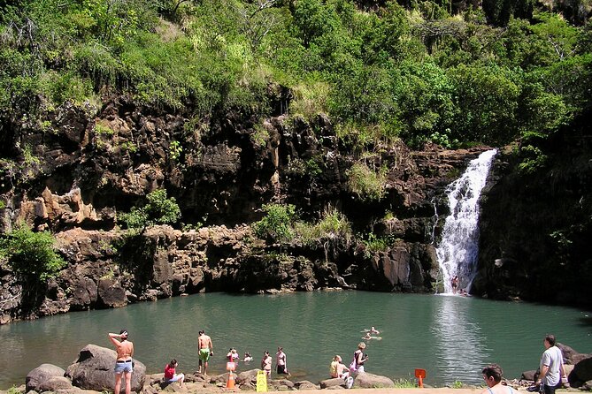 1/2 Circle Island & North Shore Fun With the Surf Bus - Snorkeling and Aquatic Adventures