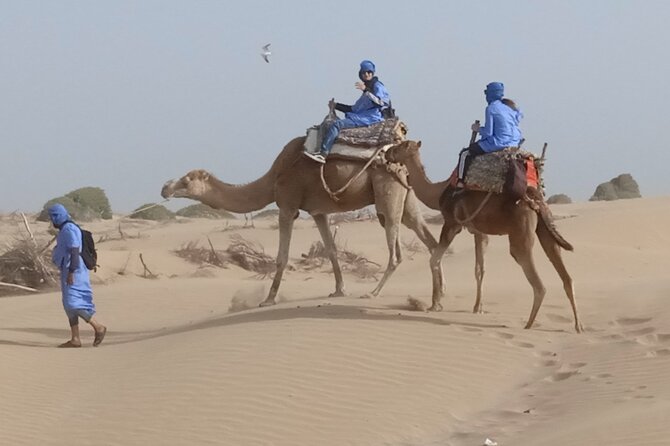 1/2 Day Camel Trekking in Essaouira With Meals - Customer Reviews and Ratings