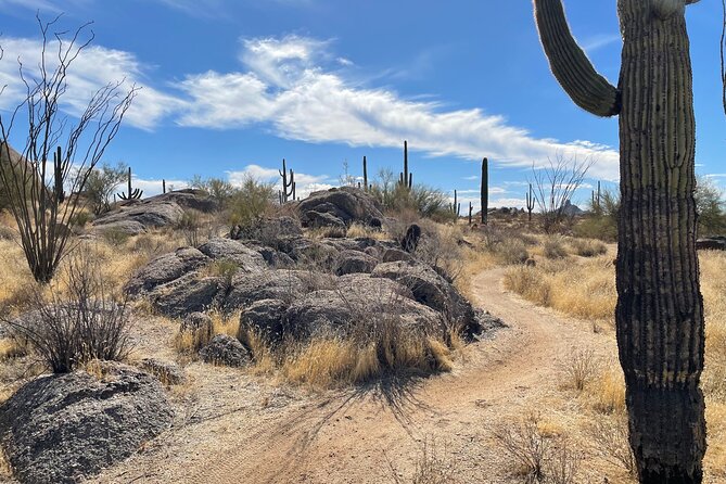 1-2 Hour Sonoran Desert Private Guided Hiking Tour - Highlights of the Experience