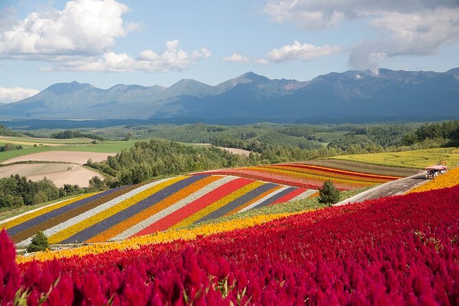1 Day Fascinating Asahidake and Biei Discovery Tour in Hokkaido - Inclusions and Exclusions