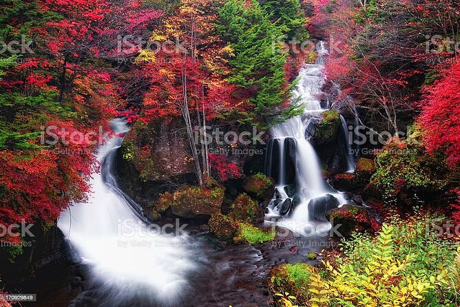 1 Day Tour to Nikko From Tokyo by Chartered Car - Destination: Nikko