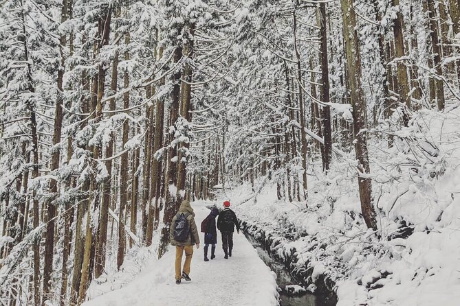 1-Day Winter Tour From Nozawa Onsen: Snow Monkeys, Zenko-ji Temple & Sake - Health and Safety Requirements