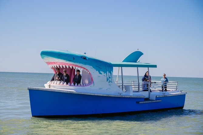 1-Hour Dolphin Sightseeing Adventure Cruise From Madeira Beach - Unique Shark Boat Experience