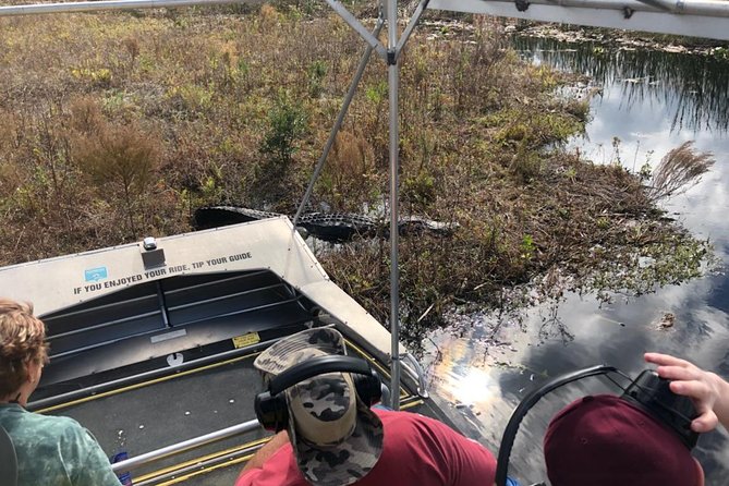 1 Hour Everglades Airboat Tour Central Florida - Native Wildlife Sightings