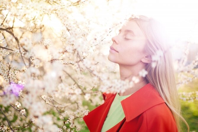 1 Hour Private Photoshoot in Aomori - Photography Package Details
