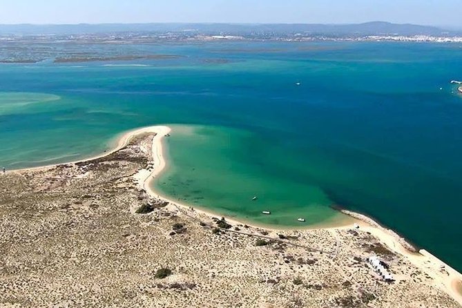 1 Hour Private Speed Boat Tour - Participation Details and Recommendations