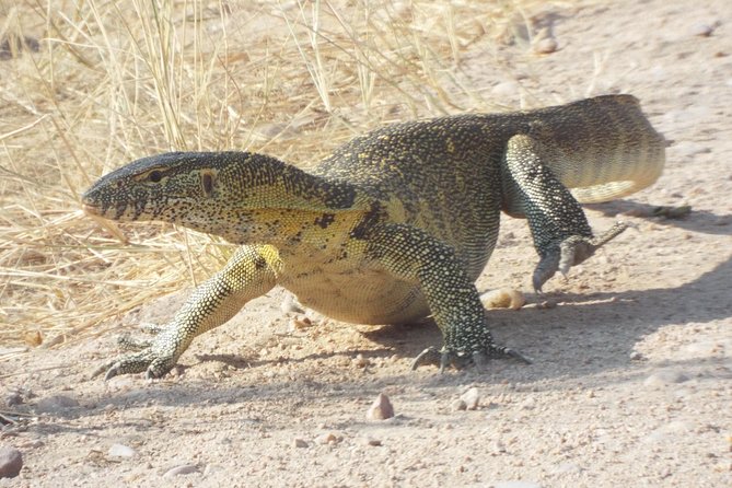 1 Night / 2 Days at Mikumi National Park - Accommodation Details