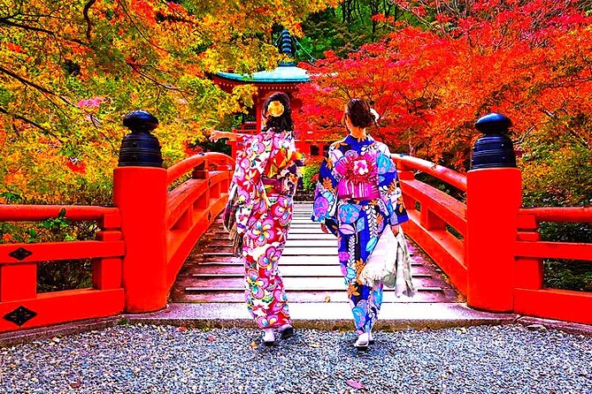 10-DAY Private Sightseeing Tour in Japan More Than 60 Attractions - Accessibility and Participation