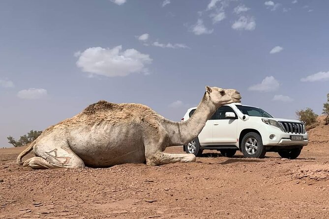 10D 9N Private Morocco Tour From Casablanca By Imperial Cities - Itinerary Overview