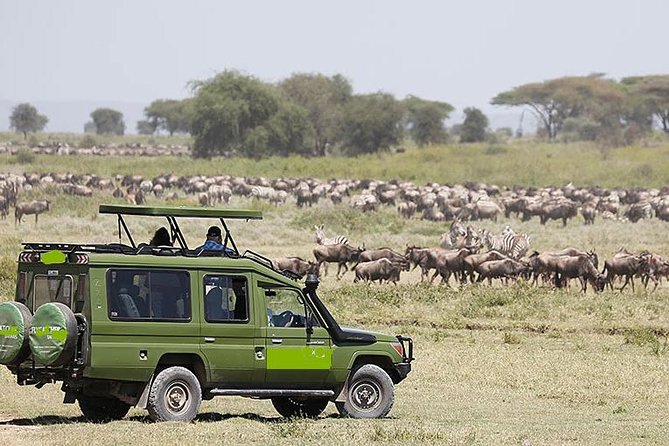 14-Days Kenya and Tanzania Camping Safari From Nairobi - Key Destinations to Explore