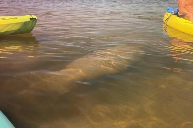 2.5 Hour Kayaking With Manatee and History Tour in Tarpon Springs - Tour Details