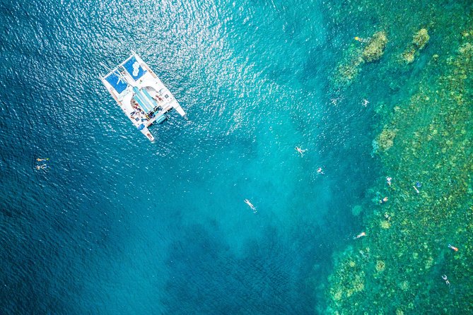 2.5 Hour Xpress Snorkel From Ka'Anapali Beach - Activity Highlights and Location