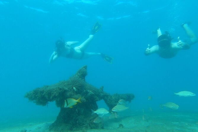 2 ½ - Hour Guided Snorkel Tour of Phil Foster Park, Free Videos! - Inclusions and Amenities