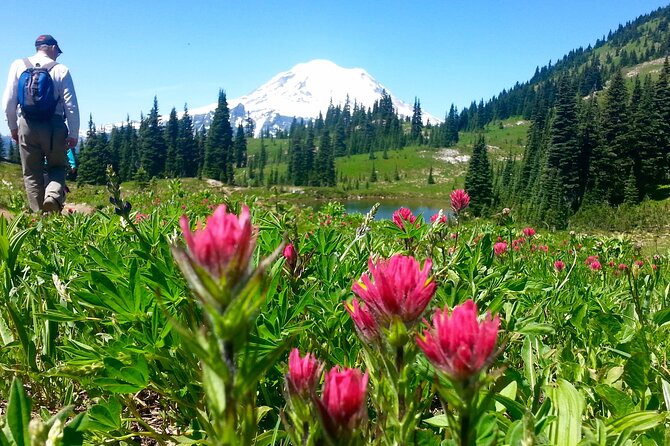 2 Day Mt Rainier All-Inclusive Tour Review - Pickup and Meeting Details