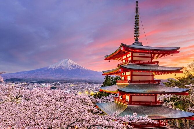 2-Day Private Tokyo MT Fuji Hakone Sightseeing Tour With Guide - Pickup Information