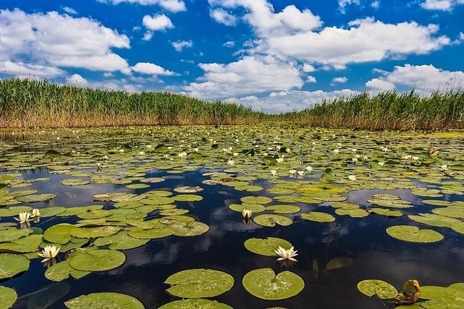 2-Day Private Tour of Danube Delta From Bucharest - Accessibility Information