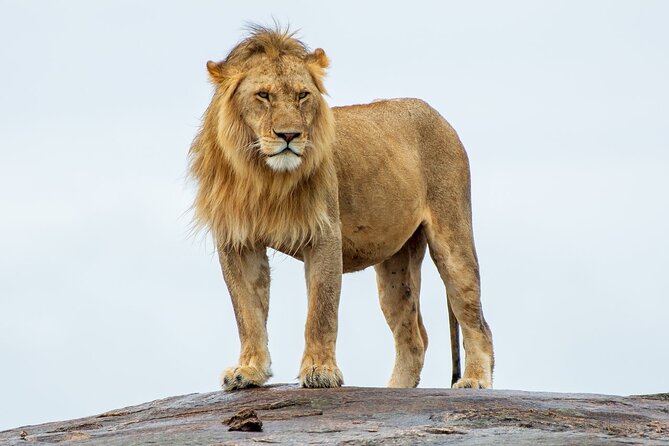 2-Day Private Tour Tsavo East and West From Diani Beach - Pricing Details