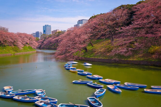 2-Day Tour: Mt Fuji and Tokyo Private Wagon & English Driver - Itinerary