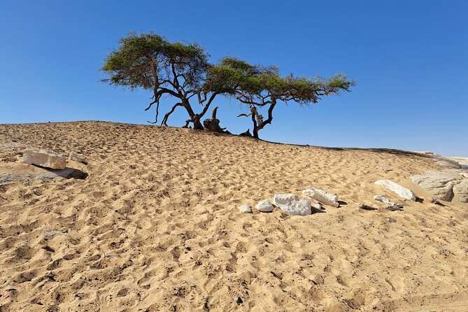2 Days 1 Night White and Black Desert From Cairo - Transportation Details