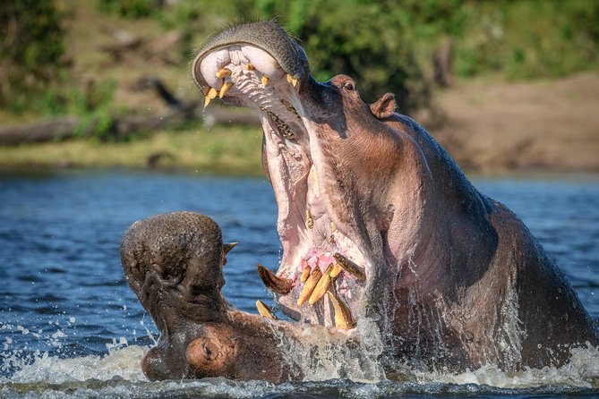2 Days Lodge Safari - Lake Manyara and Ngorongoro Crater - Itinerary Highlights