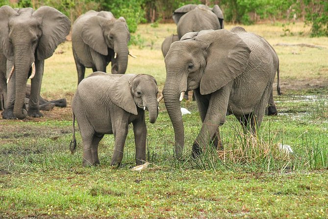 2 Days Tarangire & Ngorongoro Budget Camping Safari Tour Tanzania - Inclusions and Exclusions