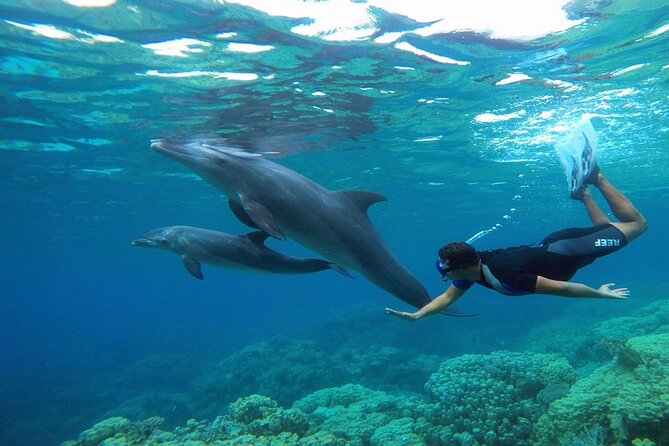 2 Diving Stops at the Most Beautiful Coral Reefs Hurghada - Tour Inclusions and Benefits