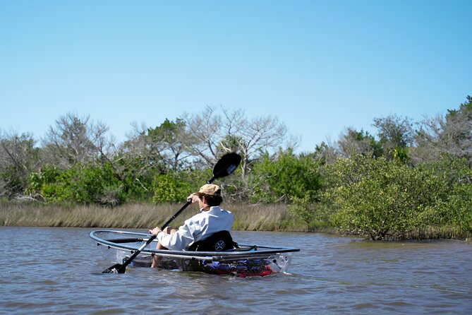 2-Hour Glass Bottom Guided Eco Tour in Flagler County-Small-group - Ratings and Reviews