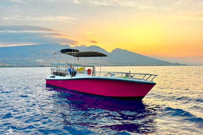 2 Hour Lahaina Sunrise Whale Watch - Whats Included in Your Adventure