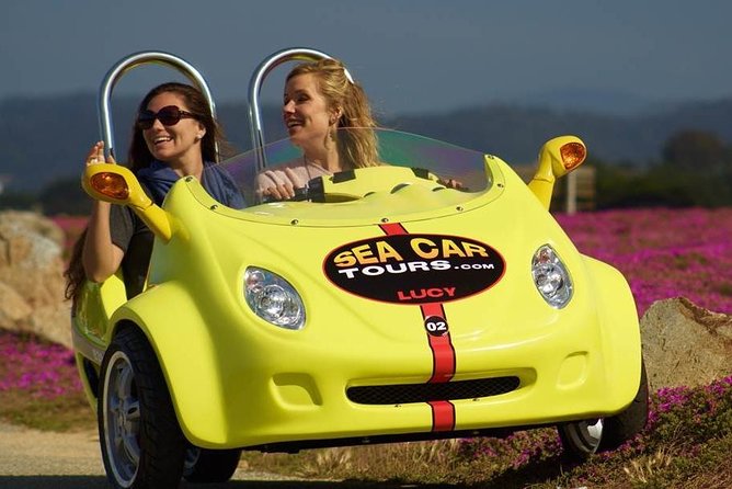 2-Hour Monterey and Pacific Grove GoCar Tour - Meeting Point and Logistics