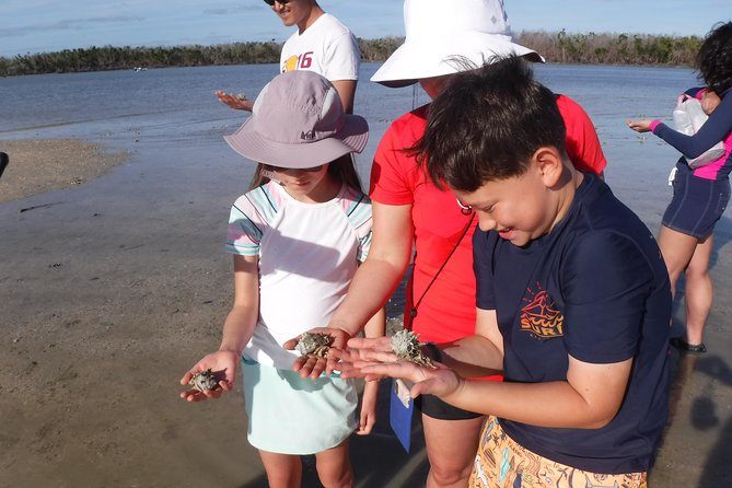 2-hour Shelling Boat Tour in the 10,000 Islands - Pricing and Cancellation Policy