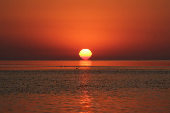 2 Hour Sunset Eco-Cruise - Inclusions and Amenities