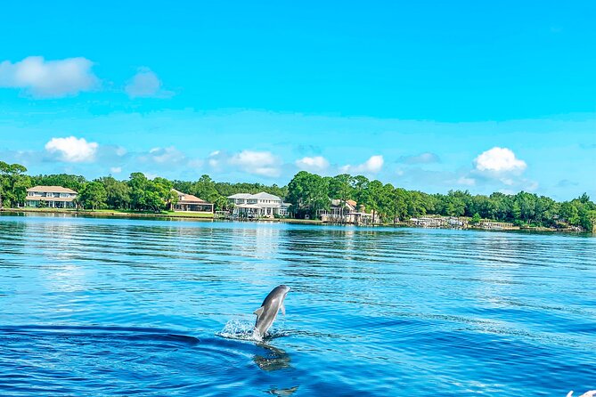 2 Hours Guided Afternoon Dolphin Tour Review - Meeting and Pickup Details