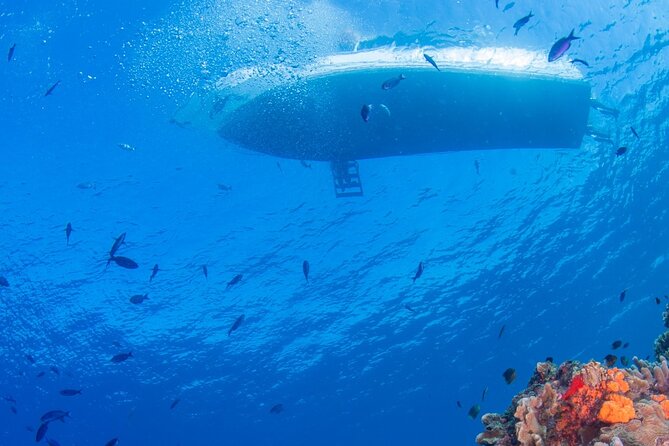 2 Tank Private Boat Dive - Dive Location