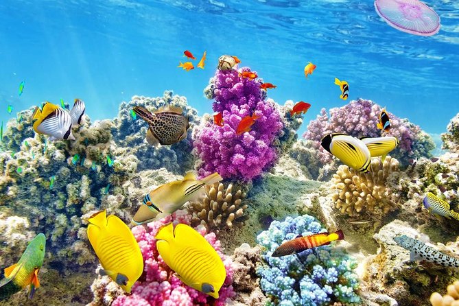 24 Hours Private Boat Snorkeling Sea Trip and Fishing With Equipment - Hurghada - Inclusions and Amenities