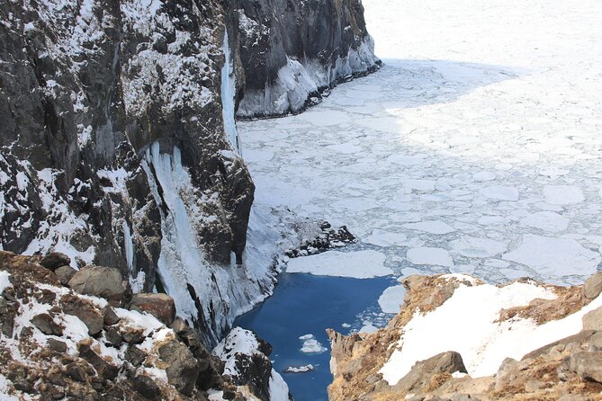 3.5hours Primeval Forest Snowshoe Hike and Wildlife Watching Tour - Rental Equipment