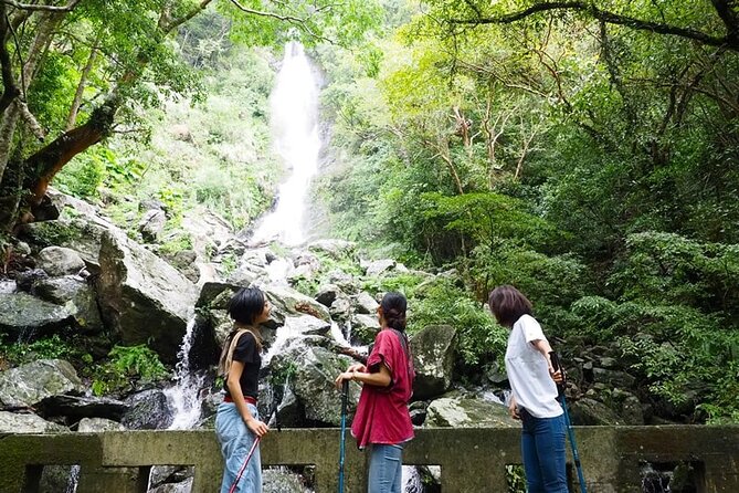 3-Day and 2-Night Amami Folksong Private Tour in Japan - Immersive Experiences in Amamis Vibrant Culture