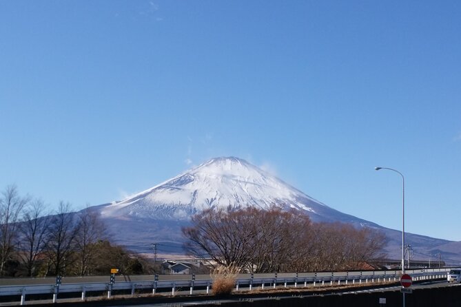 3 Day Japan Highlights Tour: Tokyo, Mt.Fuji, Nara, Kyoto, Osaka - Detailed Itinerary