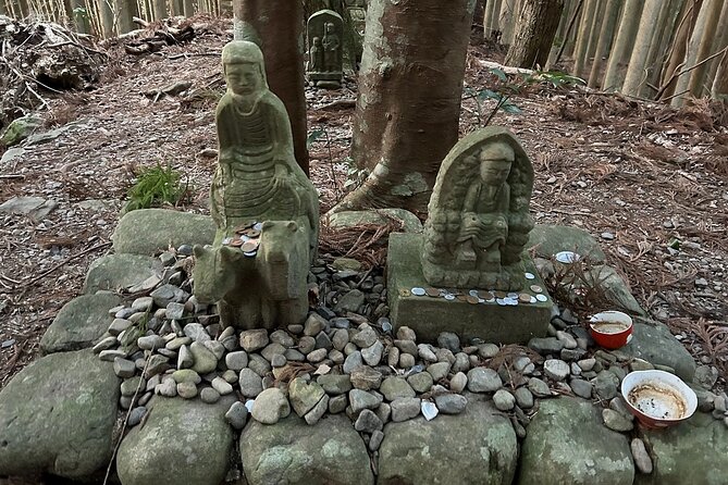 3 Day Kumano Kodo Pilgrimage Route Walking Tour From Osaka - Tour Requirements