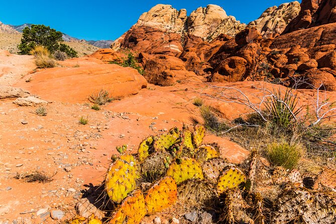 3-Day Self-Guided Las Vegas Day Trips - Starting Points