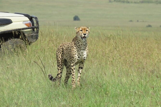 3 Days 2 Nights Group Joining Midrange Safari Tour in Masai Maraa - Itinerary Details