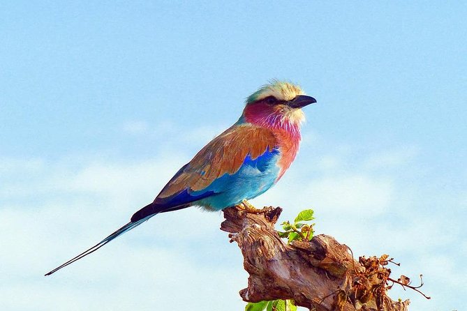 3 Days 2 Nights Tsavo East Taita Hills Game Sanctuary on Stilts - Itinerary Overview