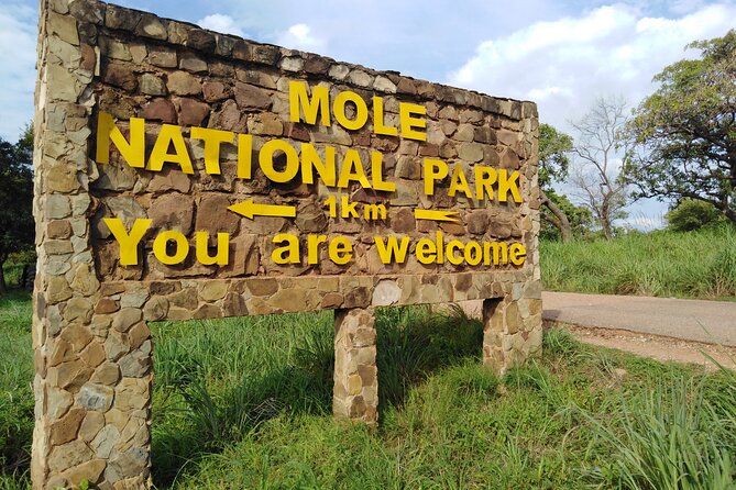 3 Days Elephants Safari at Mole Park With Round - Trip Flights - Package Inclusions