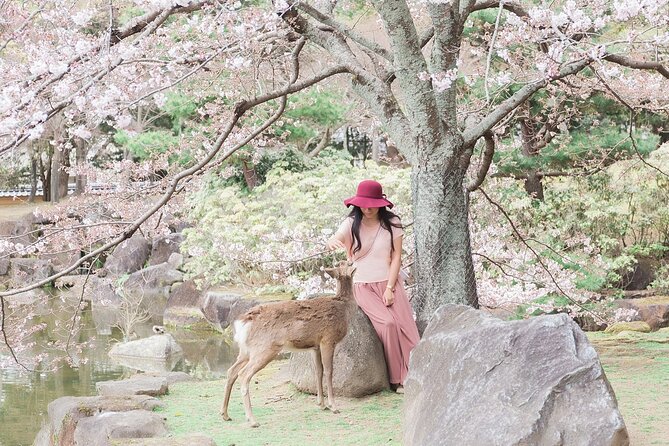 3 Days Private Osaka Kyoto and Nara Tour With English Driver - Itinerary Overview
