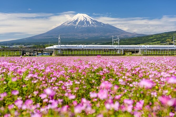3 Days Tokyo, Mount Fuji and Nikko Private Tour - Inclusions