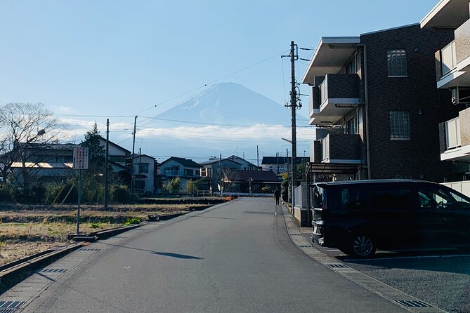 3-Hour Gotemba Food and Nightlife Izakaya Walking Tour - Cancellation and Flexibility