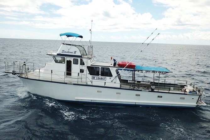 3-Hour Honolulu Bottom Fishing Adventure - Exploring the Tour Details