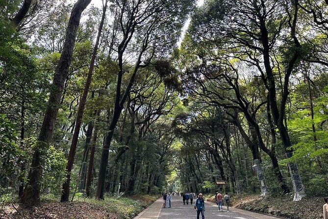 3 Hour Private Tokyo Meiji Jingu Shrine Wellness Tour - Booking and Confirmation