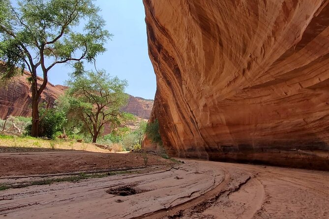 3 Hour Private Tour in Chinle - Guide Experience and Customer Feedback