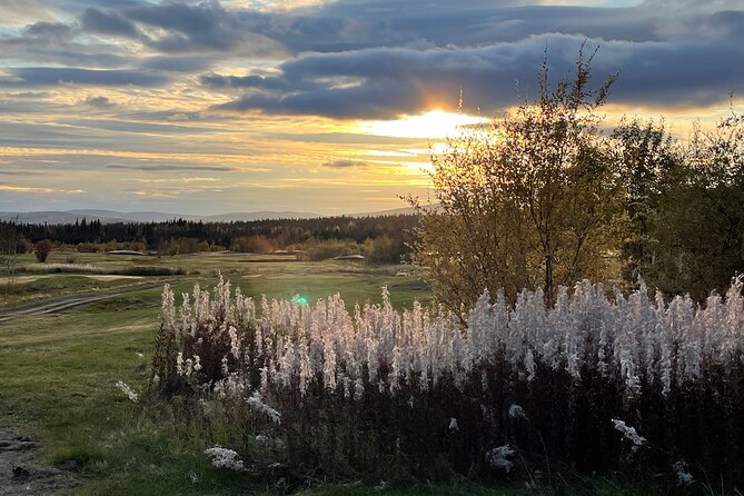 3-Hour Small Group 9-Hole Self-Guided Fairbanks Golf Experience - Accessibility and Policies